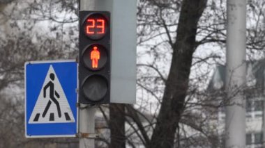 Yaya trafik lambası gündüz şehir caddesinde