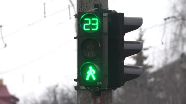 Fodgænger trafiklys på en bygade om dagen – Stock-video