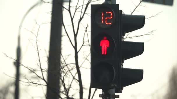 Fußgänger-Ampel auf einer Stadtstraße bei Tag — Stockvideo