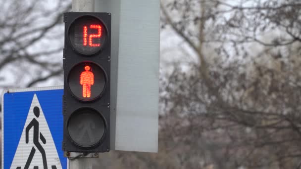 Днем пешеходный светофор на городской улице — стоковое видео