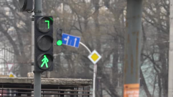 Gångtrafikljus på en stadsgata om dagen — Stockvideo