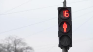 Yaya trafik lambası gündüz şehir caddesinde