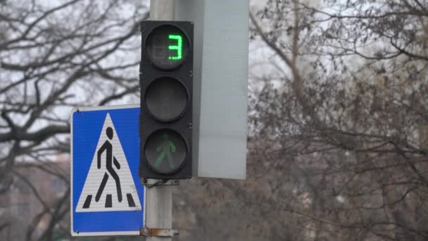 Днем пешеходный светофор на городской улице — стоковое видео
