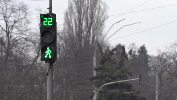 Semáforo peatonal en una calle de la ciudad durante el día — Vídeo de stock