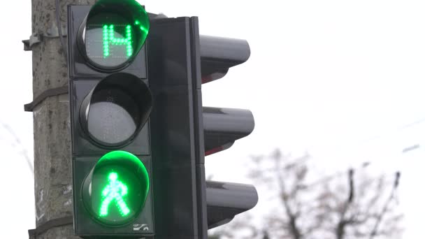 Pedestrian traffic light on a city street by day — Stock Video