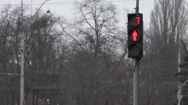 Gångtrafikljus på en stadsgata om dagen — Stockvideo