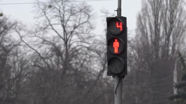 Semáforo pedestre em uma rua da cidade por dia — Vídeo de Stock