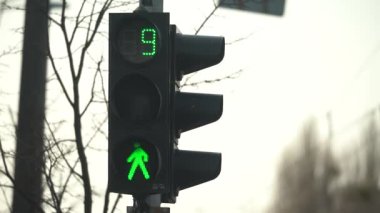 Yaya trafik lambası gündüz şehir caddesinde