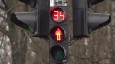 Yaya trafik lambası gündüz şehir caddesinde