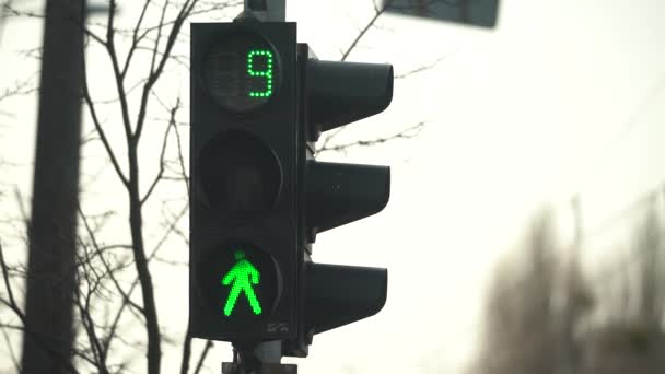 Semáforo peatonal en una calle de la ciudad durante el día — Vídeos de Stock