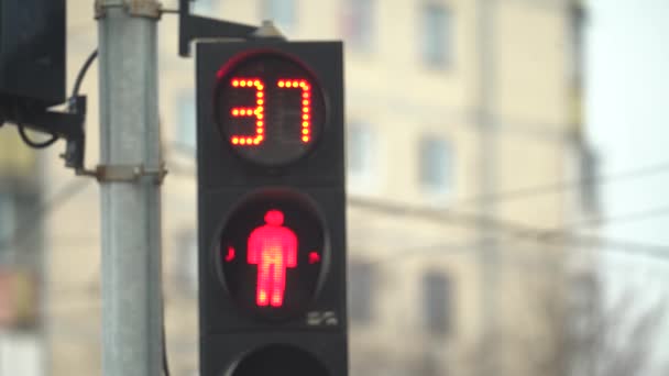 Pedestrian traffic light on a city street by day — Stock Video