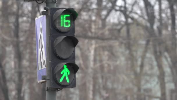 Gångtrafikljus på en stadsgata om dagen — Stockvideo