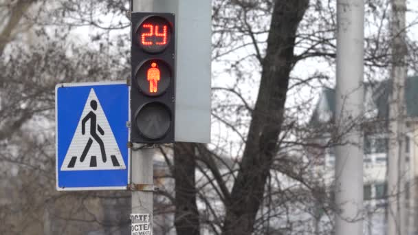 Semáforo pedestre em uma rua da cidade por dia — Vídeo de Stock