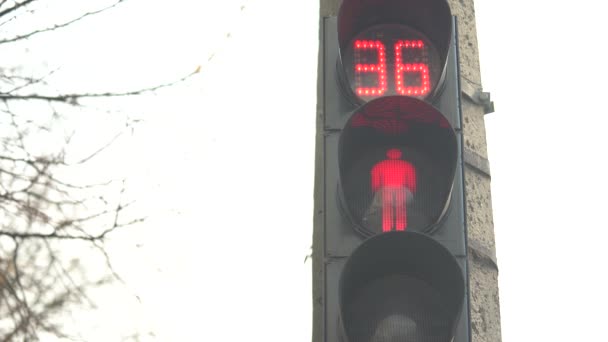 Feu de circulation piétonnier dans une rue de la ville le jour — Video