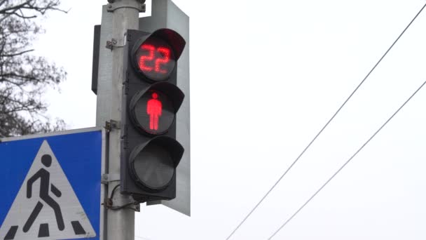 Semáforo peatonal en una calle de la ciudad durante el día — Vídeo de stock