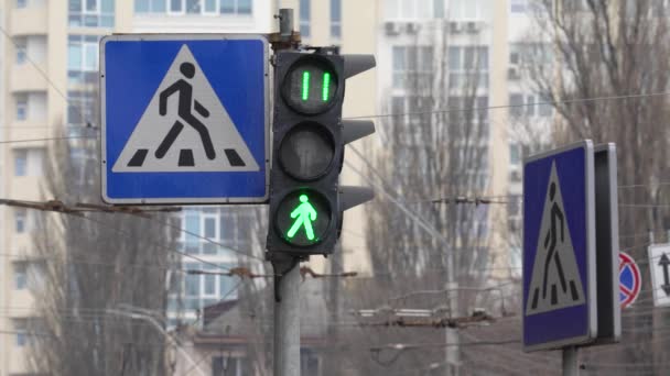 城市街道上的人行横道上的红绿灯 — 图库视频影像