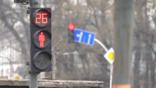 Gångtrafikljus på en stadsgata om dagen — Stockvideo