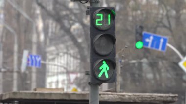 Yaya trafik lambası gündüz şehir caddesinde