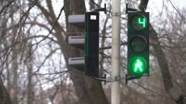 Yaya trafik lambası gündüz şehir caddesinde