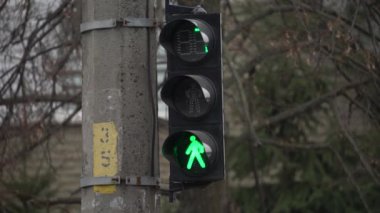 Yaya trafik lambası gündüz şehir caddesinde