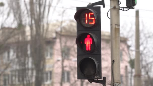 Semáforo peatonal en una calle de la ciudad durante el día — Vídeo de stock