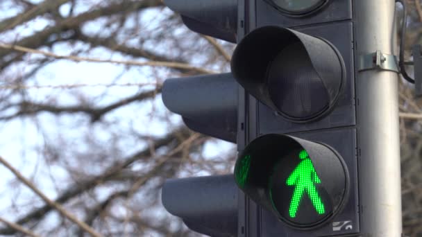 Voetgangers verkeerslicht op een straat in de stad overdag — Stockvideo