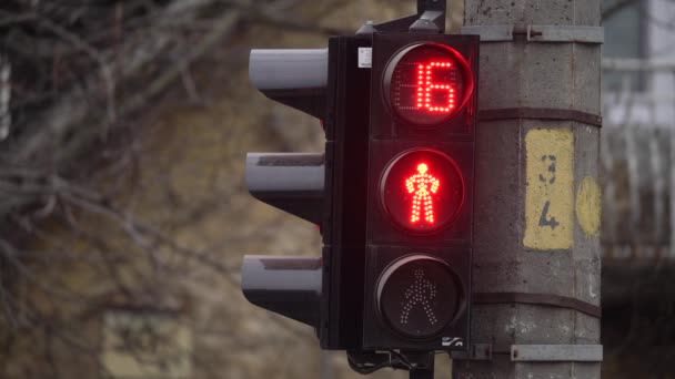 Semáforo pedestre em uma rua da cidade por dia — Vídeo de Stock