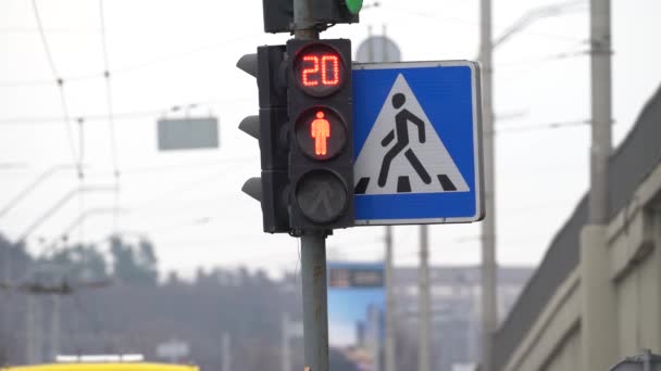 Semaforo pedonale su una strada cittadina di giorno — Video Stock