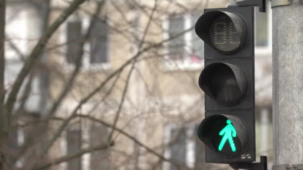 Pěší semafor na ulici ve dne — Stock video