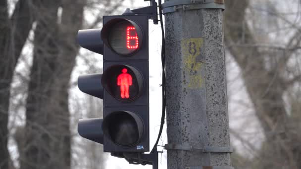 Pedestrian traffic light on a city street by day — Stock Video