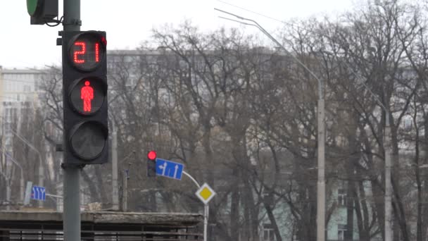 Gångtrafikljus på en stadsgata om dagen — Stockvideo