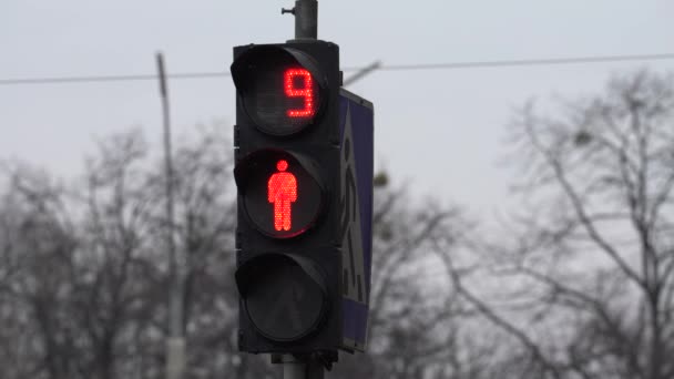 Днем пешеходный светофор на городской улице — стоковое видео