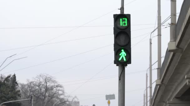 Semáforo peatonal en una calle de la ciudad durante el día — Vídeos de Stock