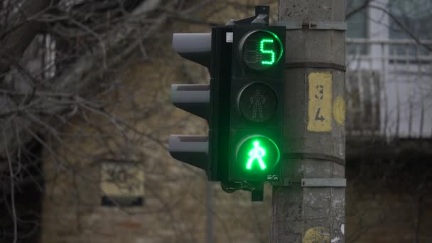 Voetgangers verkeerslicht op een straat in de stad overdag — Stockvideo