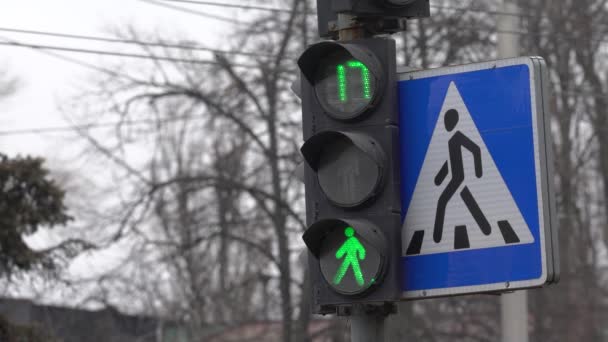 दिन-प्रतिदिन शहर की सड़क पर पैदल यात्री यातायात प्रकाश — स्टॉक वीडियो
