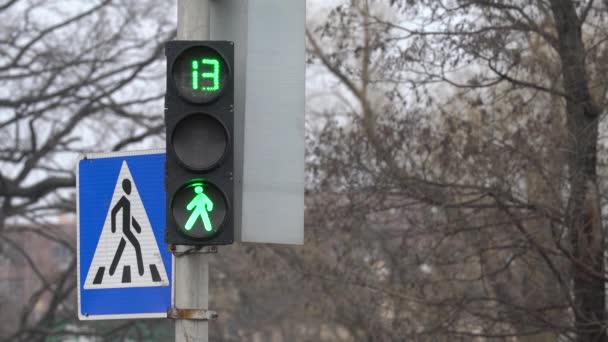 Днем пешеходный светофор на городской улице — стоковое видео