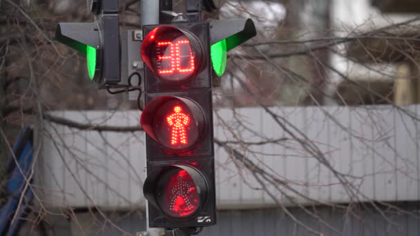 Pedestrian traffic light on a city street by day — Stock Video
