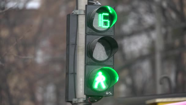 城市街道上的人行横道上的红绿灯 — 图库视频影像
