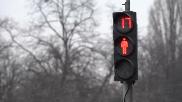 Днем пешеходный светофор на городской улице — стоковое видео