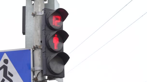 Feu de circulation piétonnier dans une rue de la ville le jour — Video