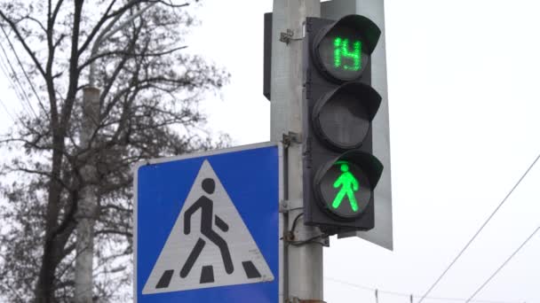 Voetgangers verkeerslicht op een straat in de stad — Stockvideo