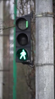 Yoldaki yaya trafik ışıklarının dikey videosu