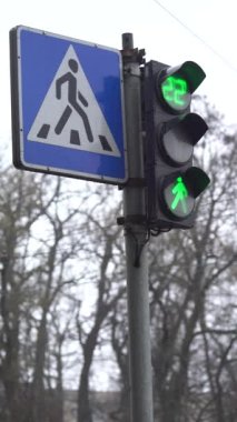 Yoldaki yaya trafik ışıklarının dikey videosu