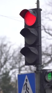 Yoldaki bir trafik ışığının dikey videosu