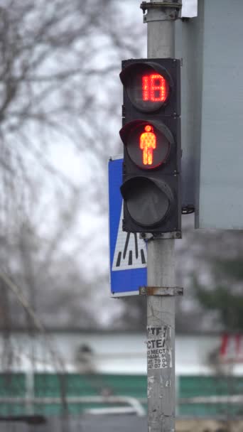 Vidéo verticale d'un feu de circulation piétonnier sur la route — Video