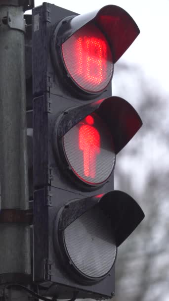 道路上行人红绿灯的垂直影像 — 图库视频影像