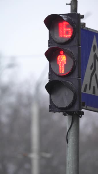 Vidéo verticale d'un feu de circulation piétonnier sur la route — Video