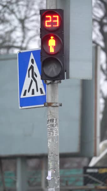 Vertikal video av ett trafikljus för fotgängare på vägen — Stockvideo