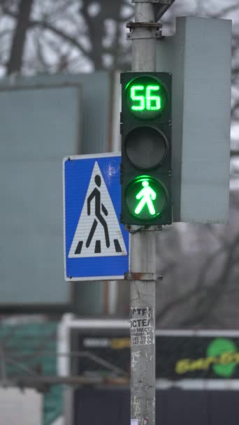 道路上の歩行者信号の垂直ビデオ — ストック動画