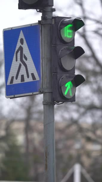 Vidéo verticale d'un feu de circulation piétonnier sur la route — Video